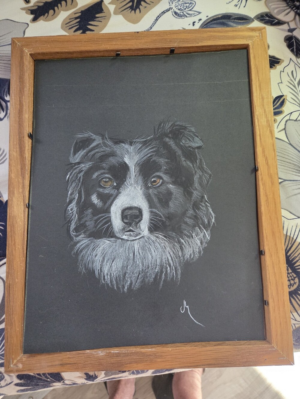 Framed Black and White Border Collie Pet Portrait - Dog Wall Art Signed - Picture 3 of 3